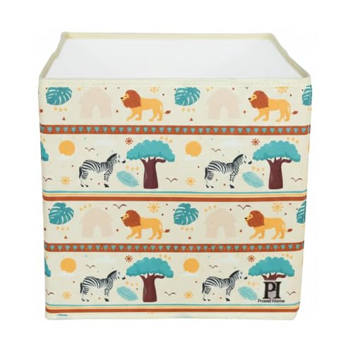 Aslan ve Zebra Kapaksiz Kutu 30x30x30
